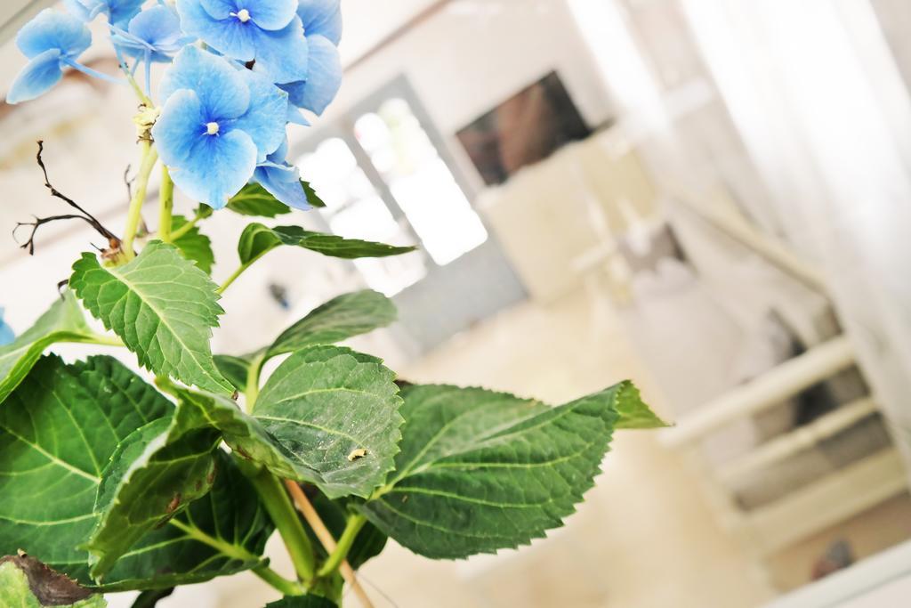 Golden Beach Studios Down Town Naxos City ภายนอก รูปภาพ